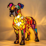 Boxer Magnifique