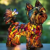 Yorkshire Terrier Éclatant