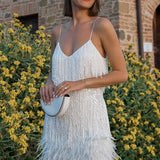 Samba - Elegans i Bevægelse